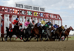 ND Horse Park ND Horse Park